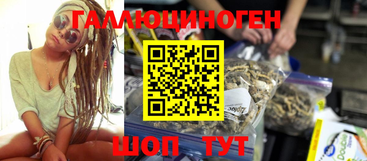 Псилоцибиновые грибы Cubensis Клин