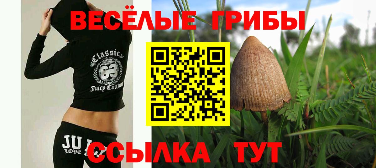 Псилоцибиновые грибы MAGIC MUSHROOMS  Вход с VPN  Псилоцибиновые грибы MAGIC MUSHROOMS  Клин 